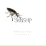 Skinship