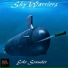 Sky Warriors