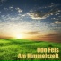 Udo Fels
