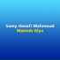 Samy Hanafi Mahmoud