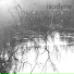 Isodyne