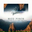 Nico Pusch