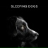 Calming Dog Chillout
