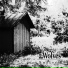 06 - 2 Wolves (2014 - Shelter)