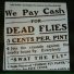 Dirt Byrds