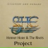 Henner Hoier Project