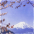 Nagoyaka