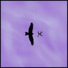 IRBIS 37, dNoise