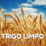 Trigo Limpo