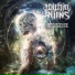Within The Ruins