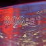 808 State