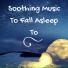 Rainforest Music Lullabies Ensemble