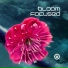 Bloom Focused