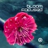 Bloom Focused