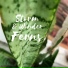 Storm & Wonder