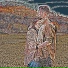 America Nehemiah