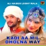 Ali Haider Loony Wala