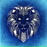 made for hayasa