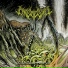 Phrymerial feat. Analepsy