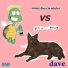 dave.
