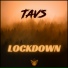Tavs