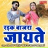 Ramdev Gurjar Selari, Mamta Rangeeli