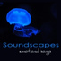 Tranquil Music Sound of Nature