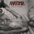 Anatomia