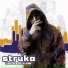OBC, Struka, Koky