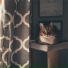 Music For Cats, Cat Music, Jazz Music for Cats