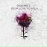 Soulwell