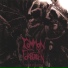 01 - Common Yet Forbidden (2007 - The Struggle)
