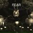 FEAR
