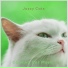 Calming Cat Music
