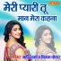 Mahendra Sharma, Nigam Chhokar