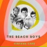 The Beach Boys