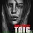 Taig