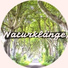 Entspannung Natur Phantasiereise