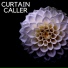 Curtain Caller