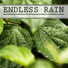 Rain Sounds