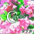 Capella