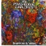 The Psychedelic Warlords