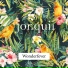 Wonderfever