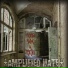 Amplified Hate feat. Beerli (With Open Arms)
