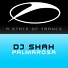 DJ Shah Feat Adrina Thorpe
