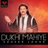 Zaheer Lohar