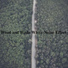 White noise effect