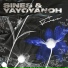 Sines, Yayoyanoh