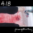 A18