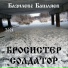 Базилевс Башляев